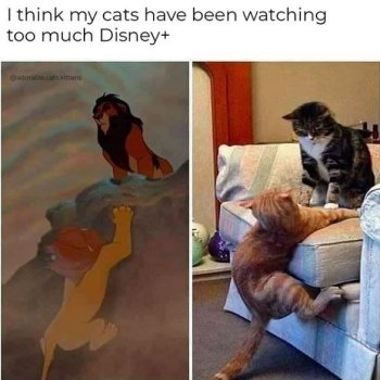 1745885300666.jpeg