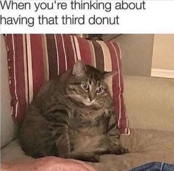 1746012868835.jpeg