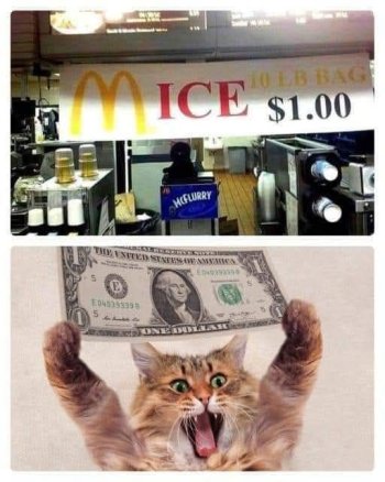 1746027811494.jpeg
