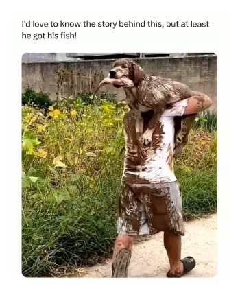 1746028253239.jpeg