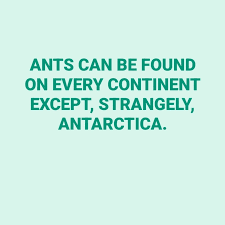 1746073277868.png
