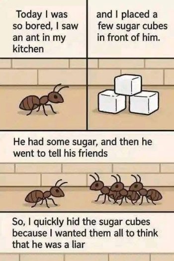 1746152263958.jpeg