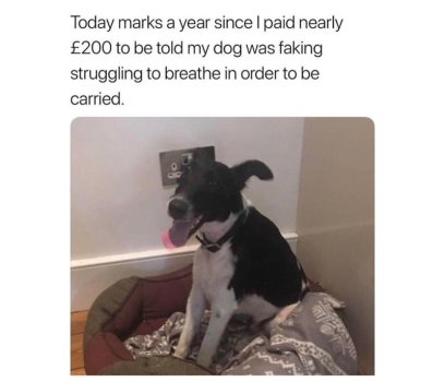 1746173094768.jpeg