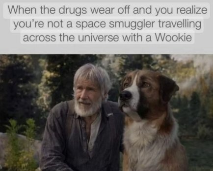 1746199102267.jpeg
