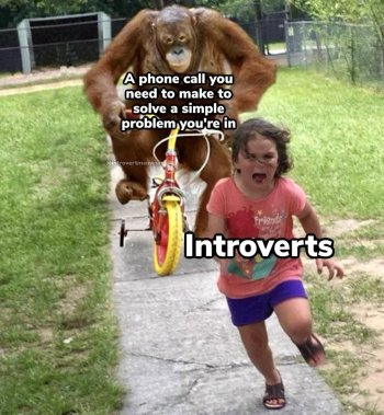1746218608512.jpeg