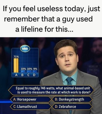 1746316417492.jpeg