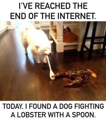 1746364759514.png