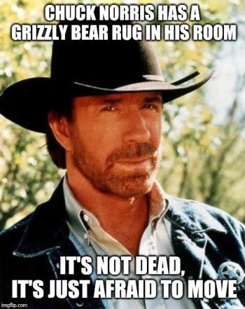 chuck norris bear.jpg