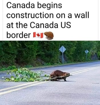 1746531449950.jpeg