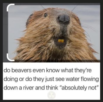 1746531614952.jpeg