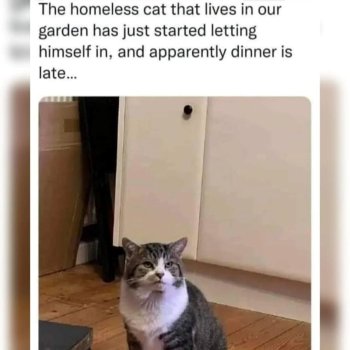 1746571628473.jpeg