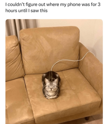 1746571921548.png