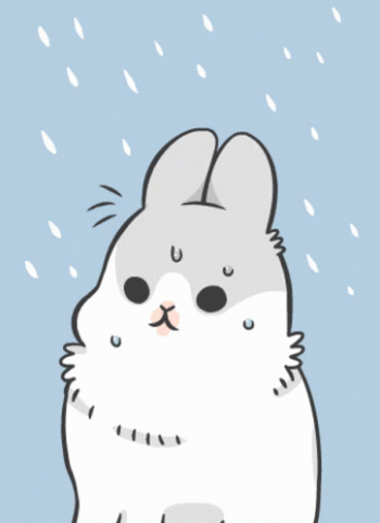 1746573352879.gif