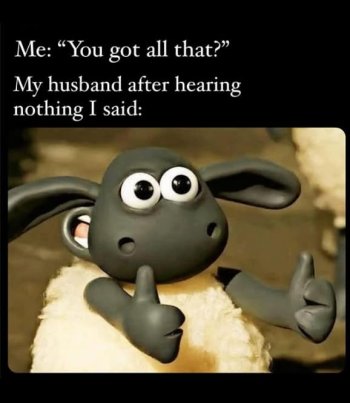 1746579965962.jpeg