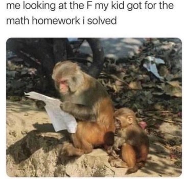 1746616274907.jpeg