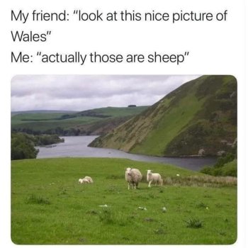 1746633847853.jpeg
