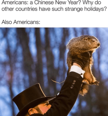 1746704568825.png