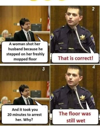 1746736753959.jpeg