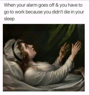 1746736870467.jpeg