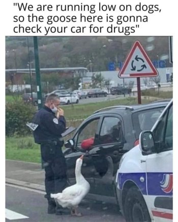 1746772522808.jpeg