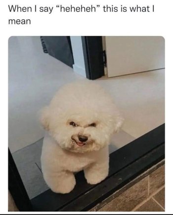 1746865018769.jpeg