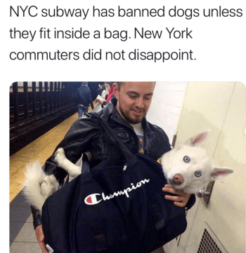 1746953375071.png