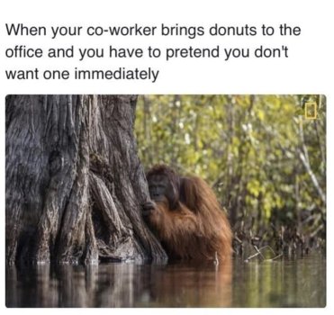 1747013967878.jpeg
