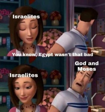 1747051619499.jpeg