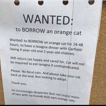 1747107007089.jpeg