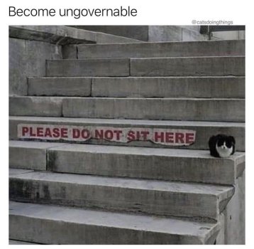 1747107135357.jpeg