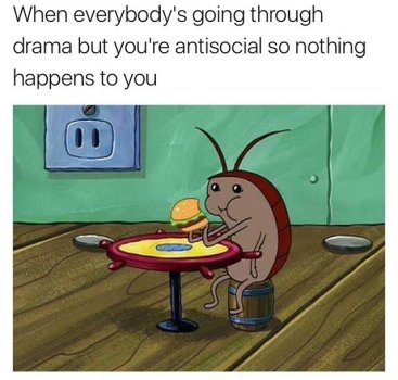 1747303759564.jpeg