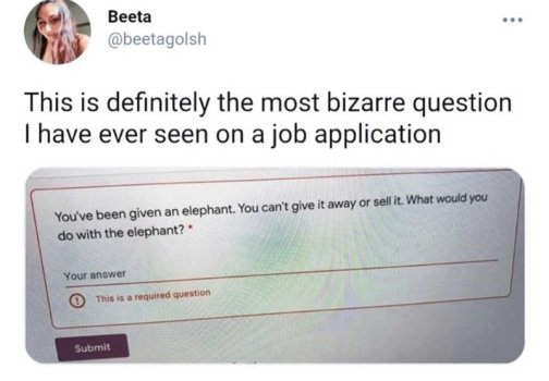 1747362085270.jpeg