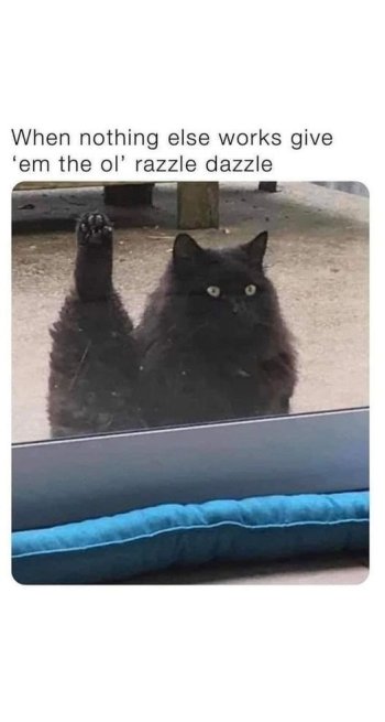 1747537352443.jpeg