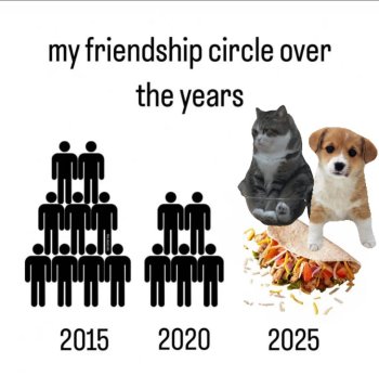 1747537410375.jpeg