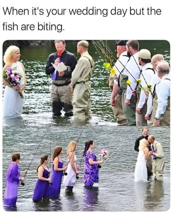 1747617034429.jpeg