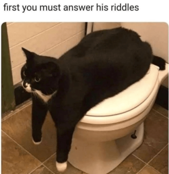 1747619280398.png