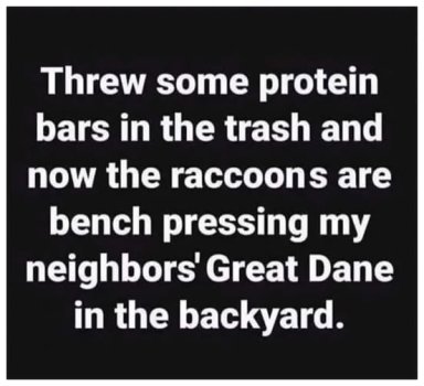 racoon cb.jpg