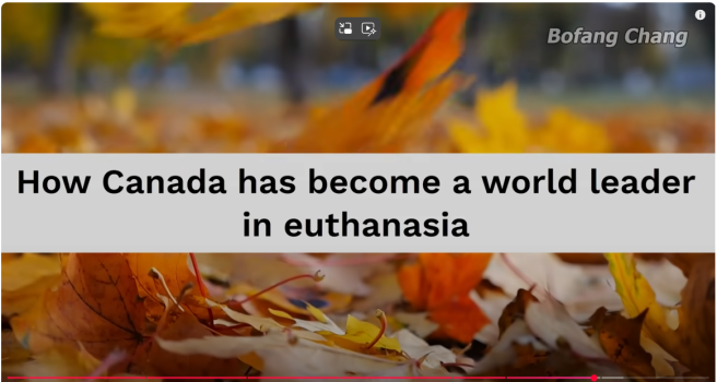 1747746943459.png