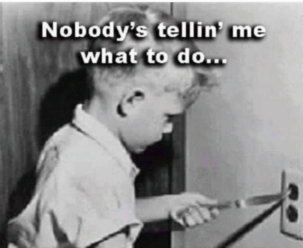 Pic1__GIF.gif