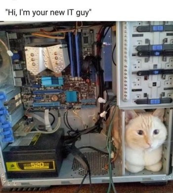 It Guy cb.jpg
