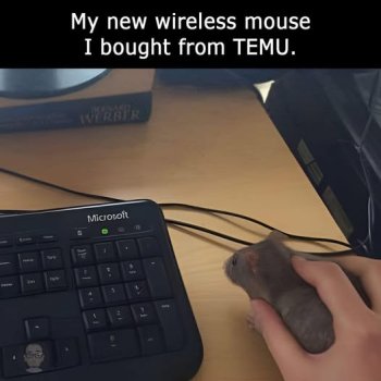 mouse cb.jpg