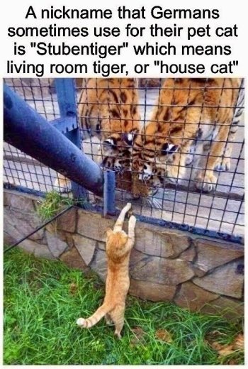 1747873312546.jpeg