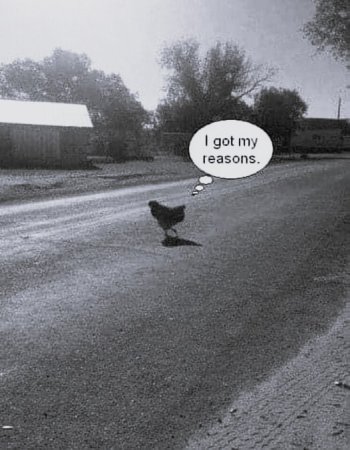 1747934828996.jpeg