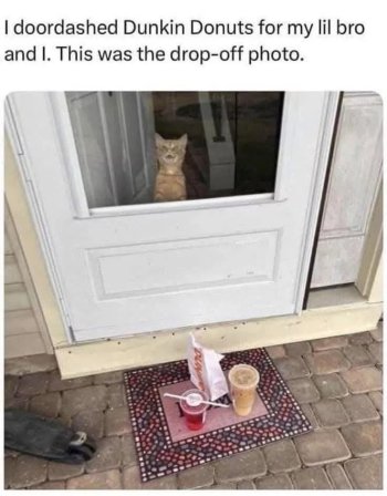 1747992060868.jpeg