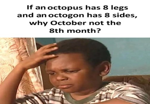 octo cb.jpg