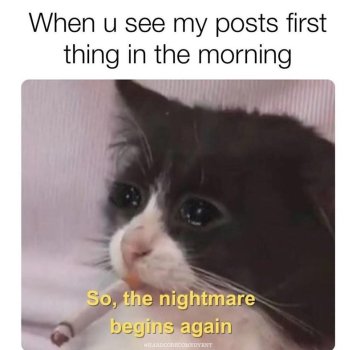 1748041919089.jpeg
