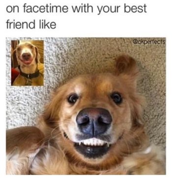 1748046538304.jpeg
