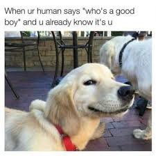 1748046592351.jpeg
