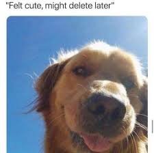 1748046693501.jpeg