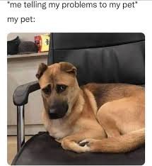 1748046818423.jpeg